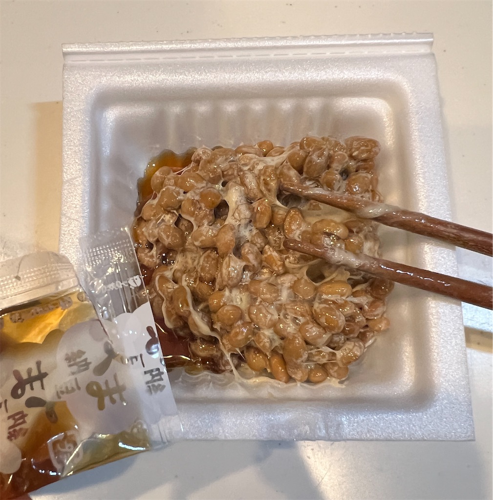 f:id:gohatori:20231215092058j:image
