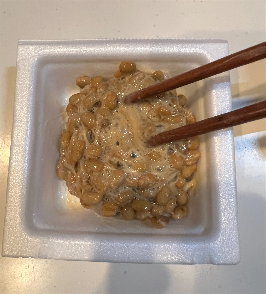 f:id:gohatori:20231226084551j:image