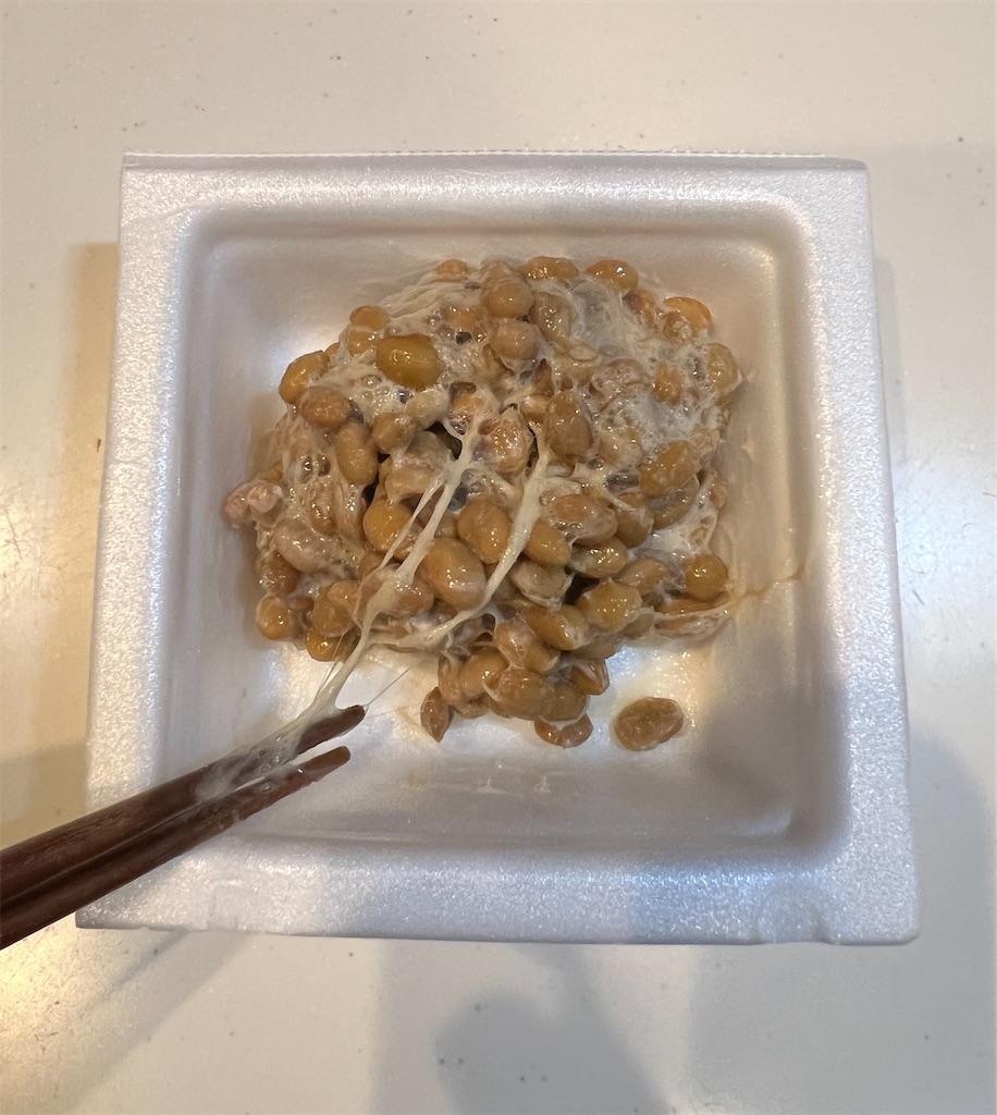 f:id:gohatori:20231226084604j:image
