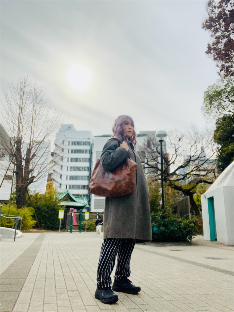 f:id:gohatori:20231231165927j:image