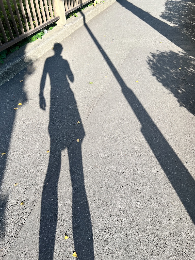 f:id:gohatori:20240113011830j:image