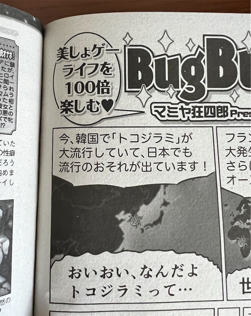 f:id:gohatori:20240113094004j:image