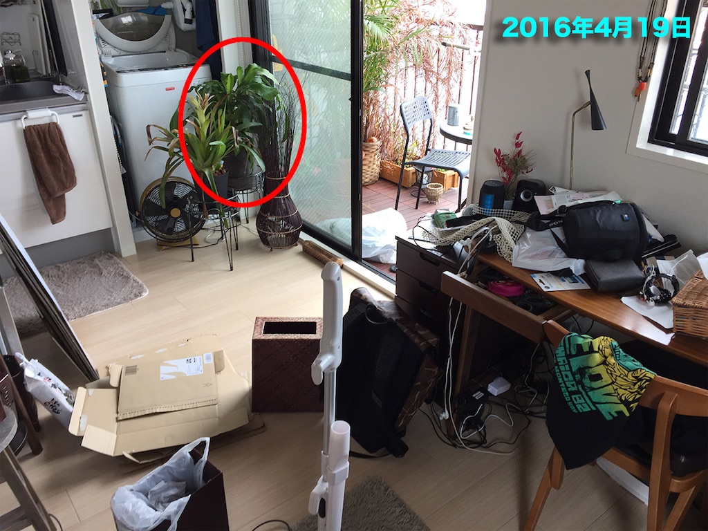 f:id:gohatori:20240113155904j:image