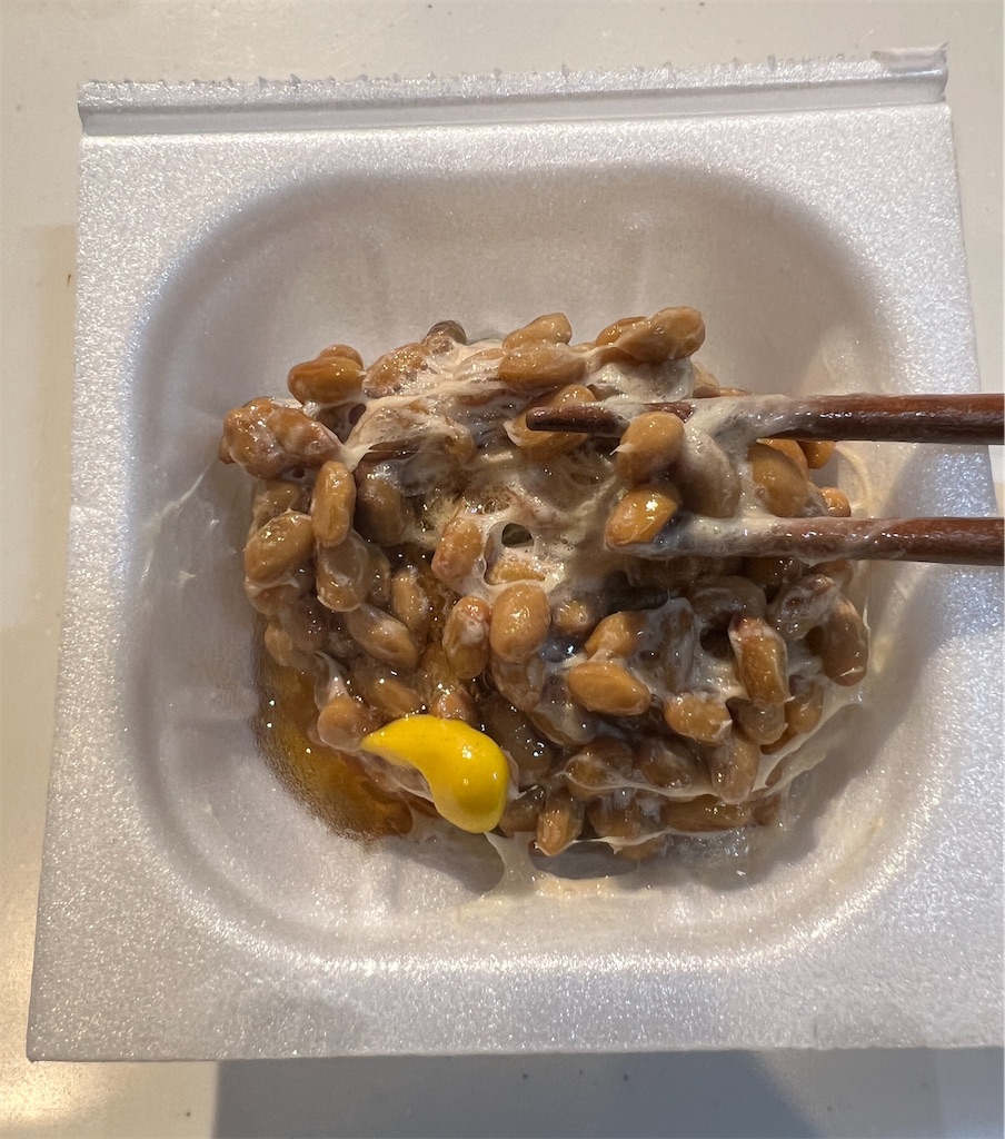 f:id:gohatori:20240123104245j:image
