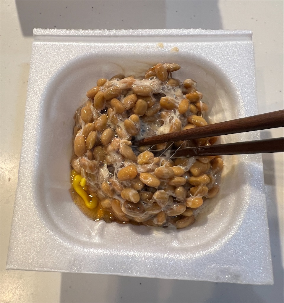 f:id:gohatori:20240129065021j:image
