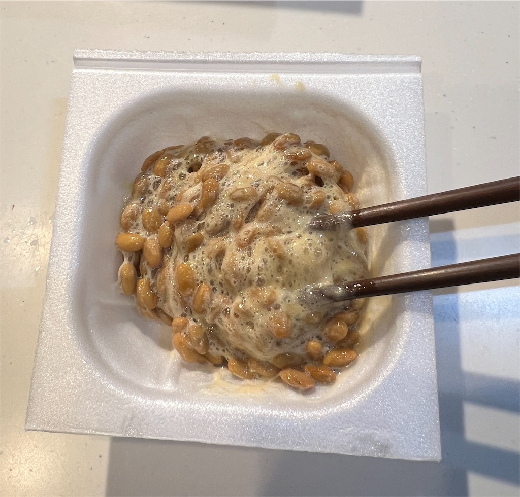 f:id:gohatori:20240129065057j:image