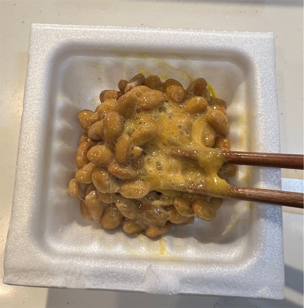 f:id:gohatori:20240225114453j:image f:id:gohatori:20240225114453j:image