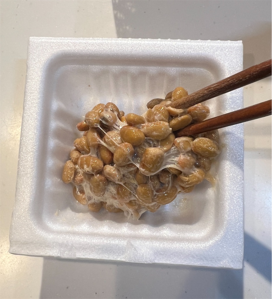 f:id:gohatori:20240225114500j:image f:id:gohatori:20240225114500j:image