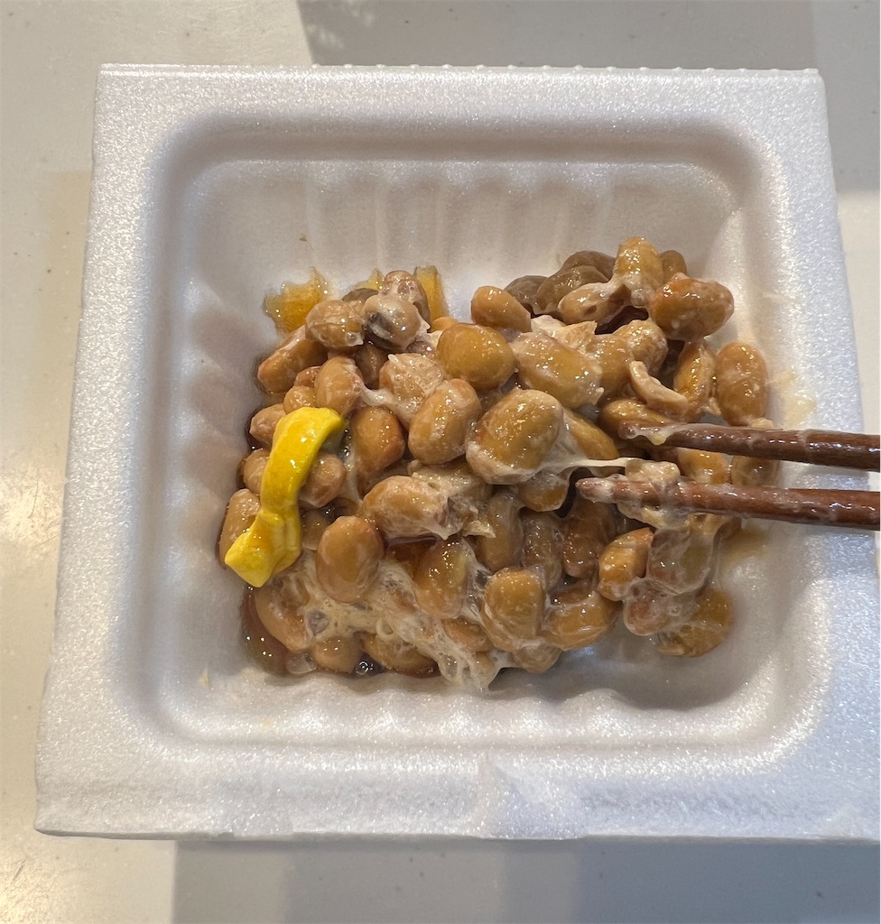 f:id:gohatori:20240225114510j:image f:id:gohatori:20240225114510j:image