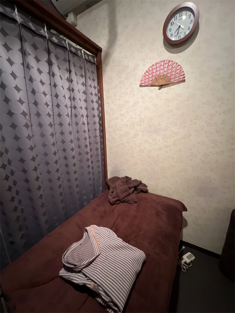 f:id:gohatori:20240317234626j:image