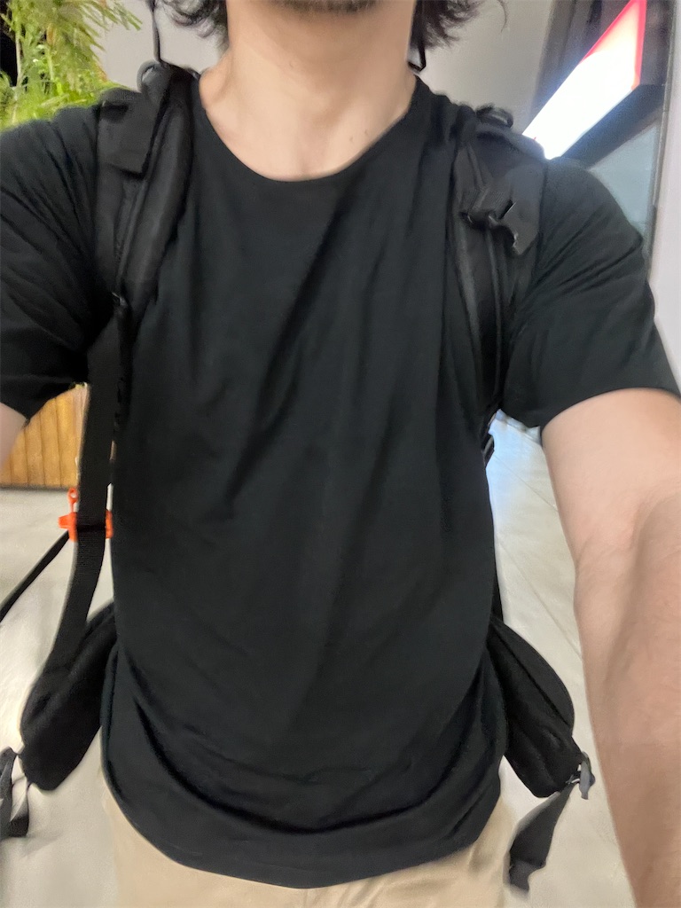 f:id:gohatori:20240423084413j:image
