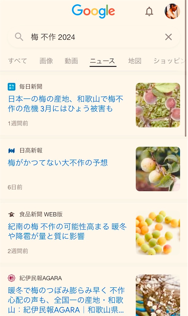 f:id:gohatori:20240515094626j:image