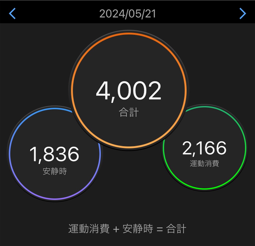 f:id:gohatori:20240523082641j:image