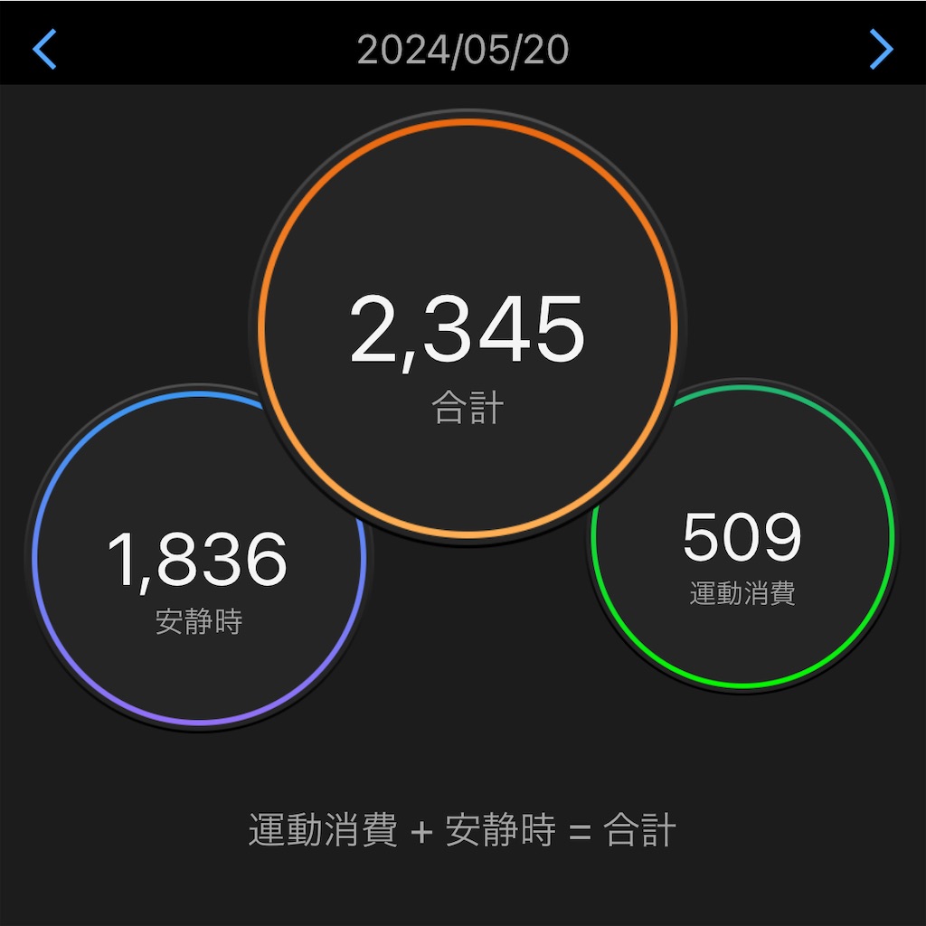 f:id:gohatori:20240523082703j:image