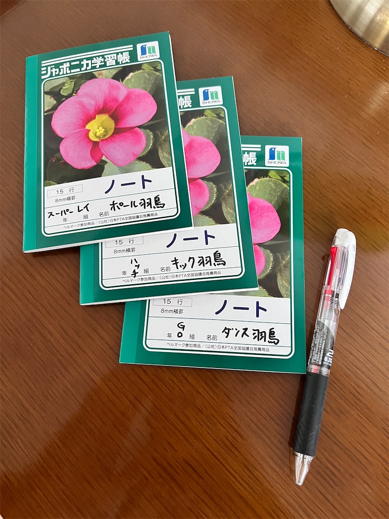 f:id:gohatori:20240525102001j:image