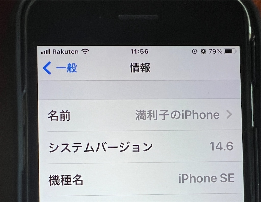 f:id:gohatori:20240610093220j:image