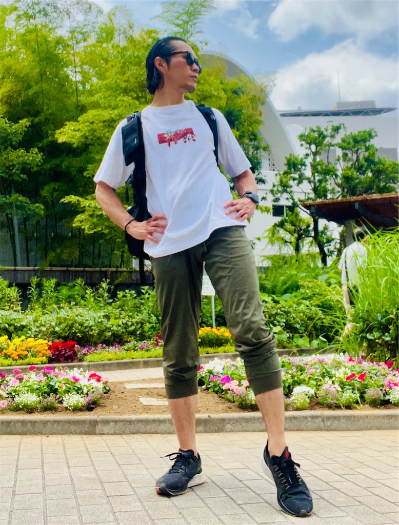 f:id:gohatori:20240710080024j:image f:id:gohatori:20240710080024j:image