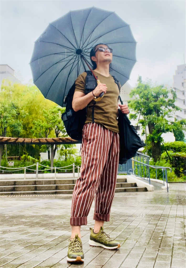 f:id:gohatori:20240710080027j:image f:id:gohatori:20240710080027j:image