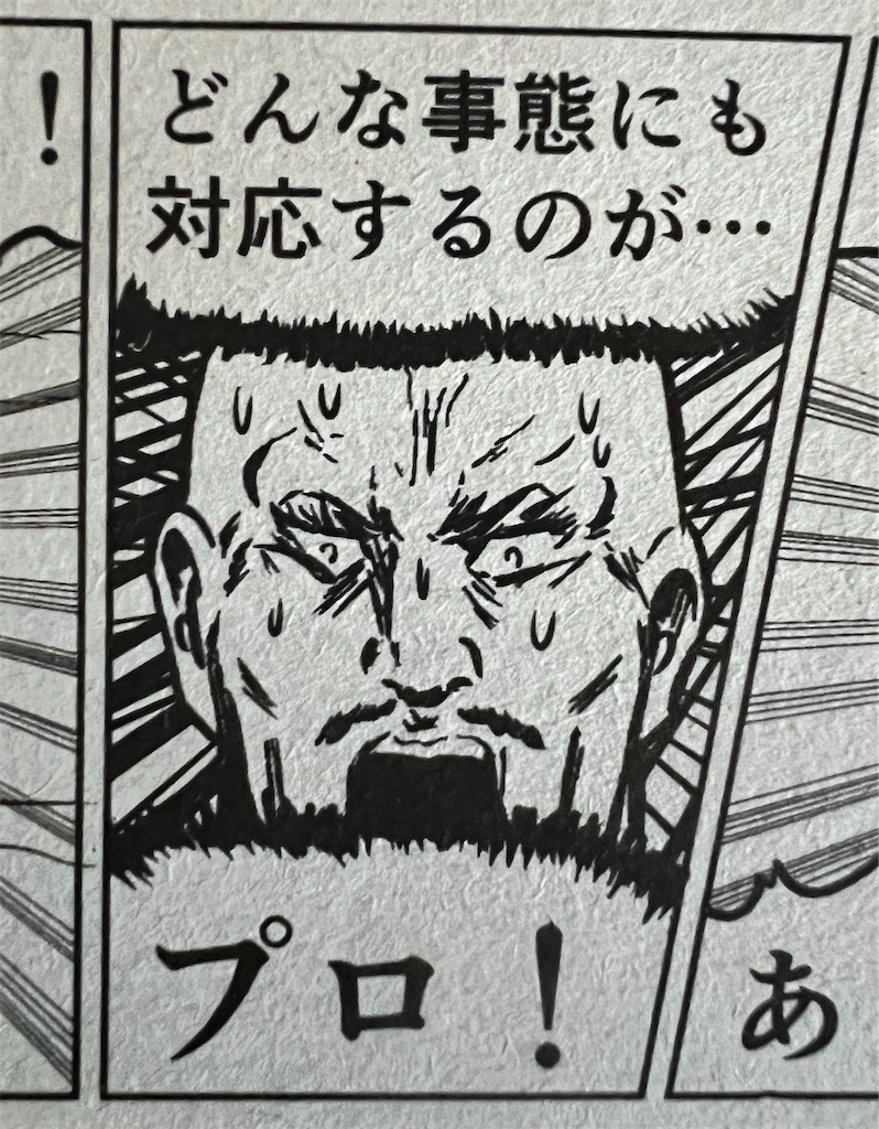 f:id:gohatori:20240711083855j:image