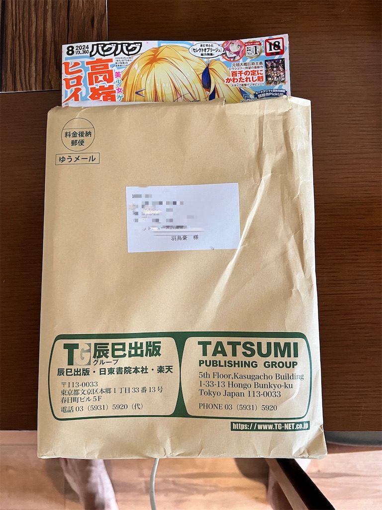 f:id:gohatori:20240711083858j:image