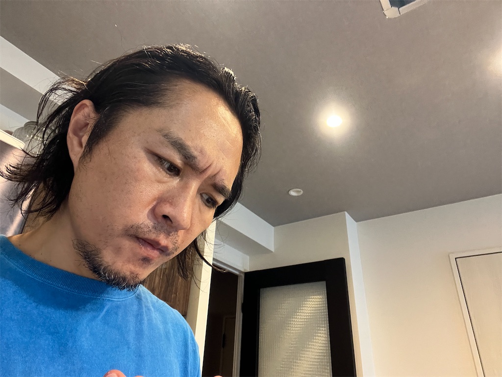 f:id:gohatori:20240721090332j:image f:id:gohatori:20240721090332j:image