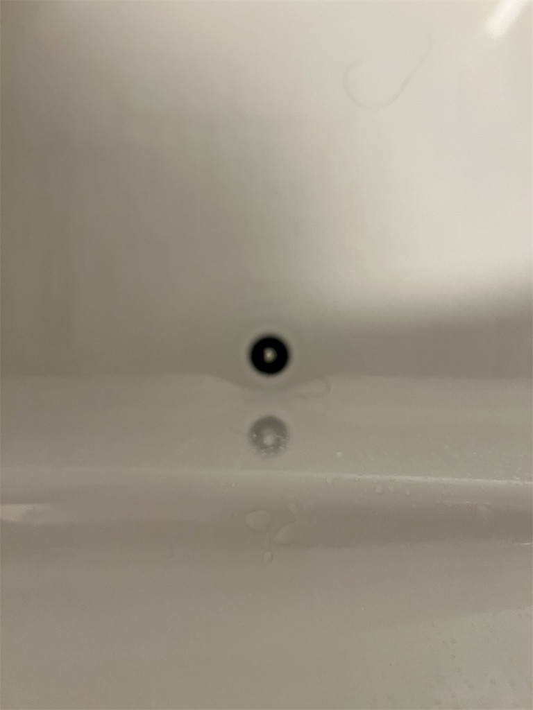 f:id:gohatori:20240726071121j:image f:id:gohatori:20240726071121j:image