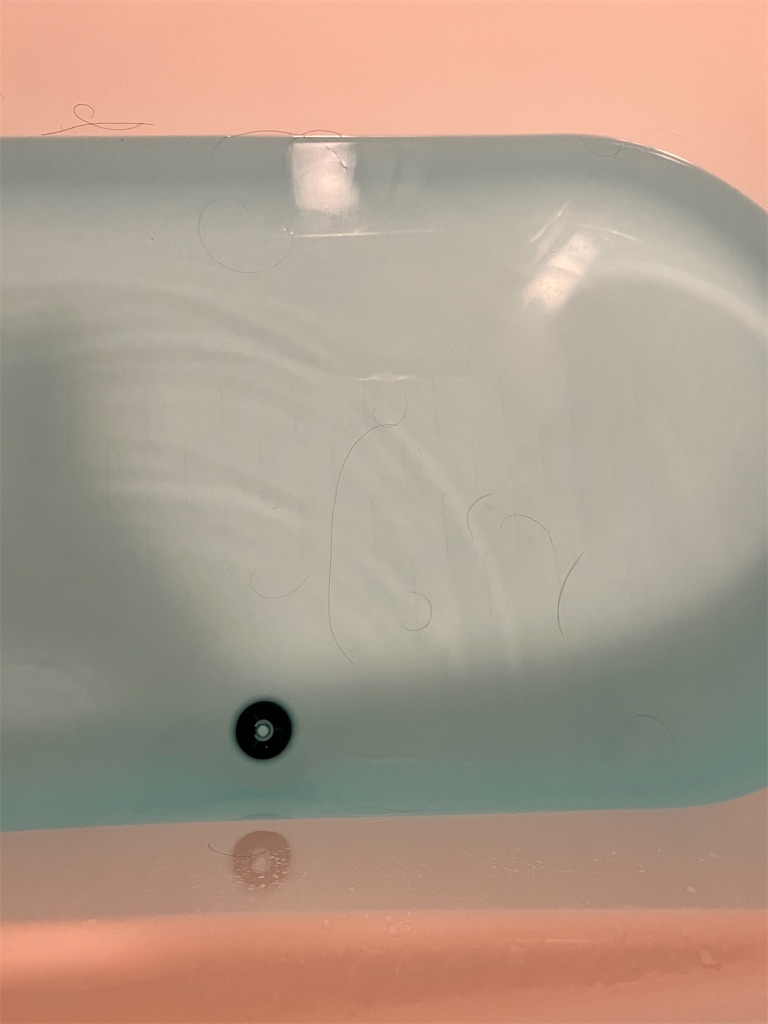 f:id:gohatori:20240726071147j:image f:id:gohatori:20240726071147j:image