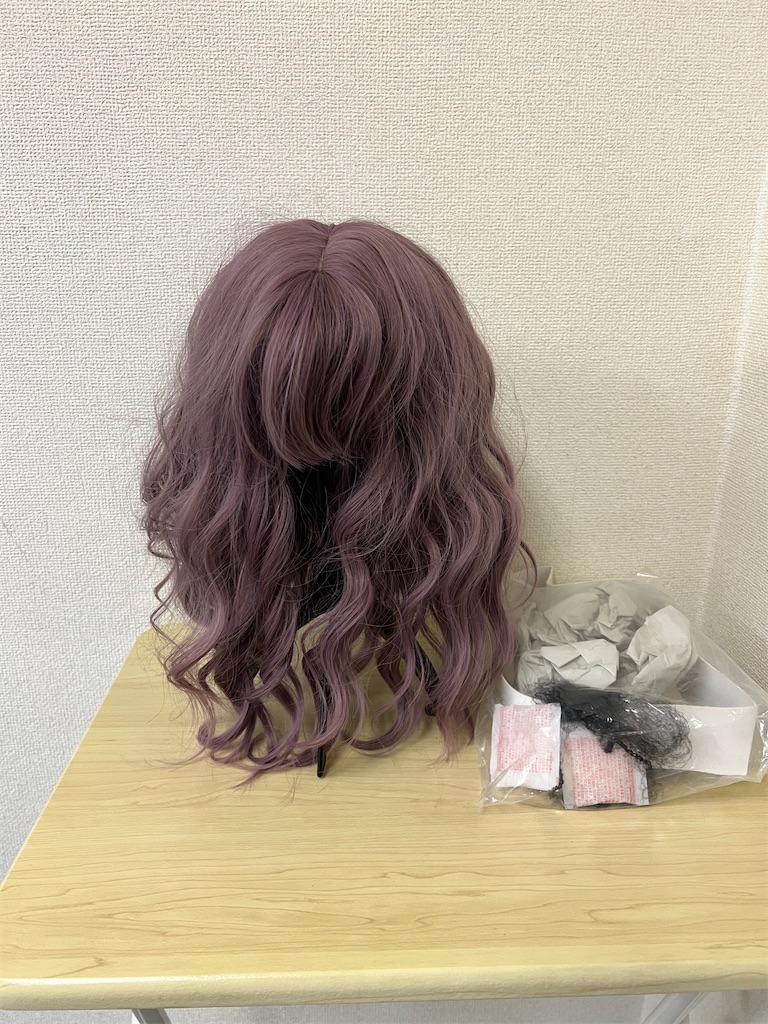 f:id:gohatori:20240811101632j:image