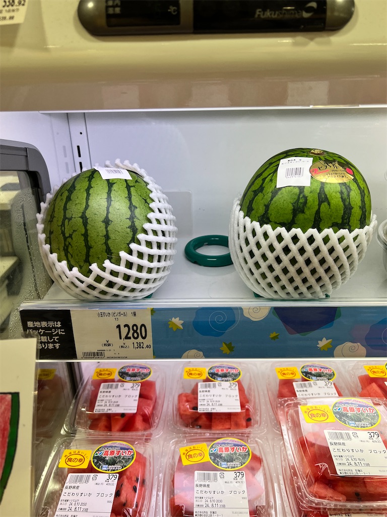 f:id:gohatori:20240814084512j:image f:id:gohatori:20240814084512j:image