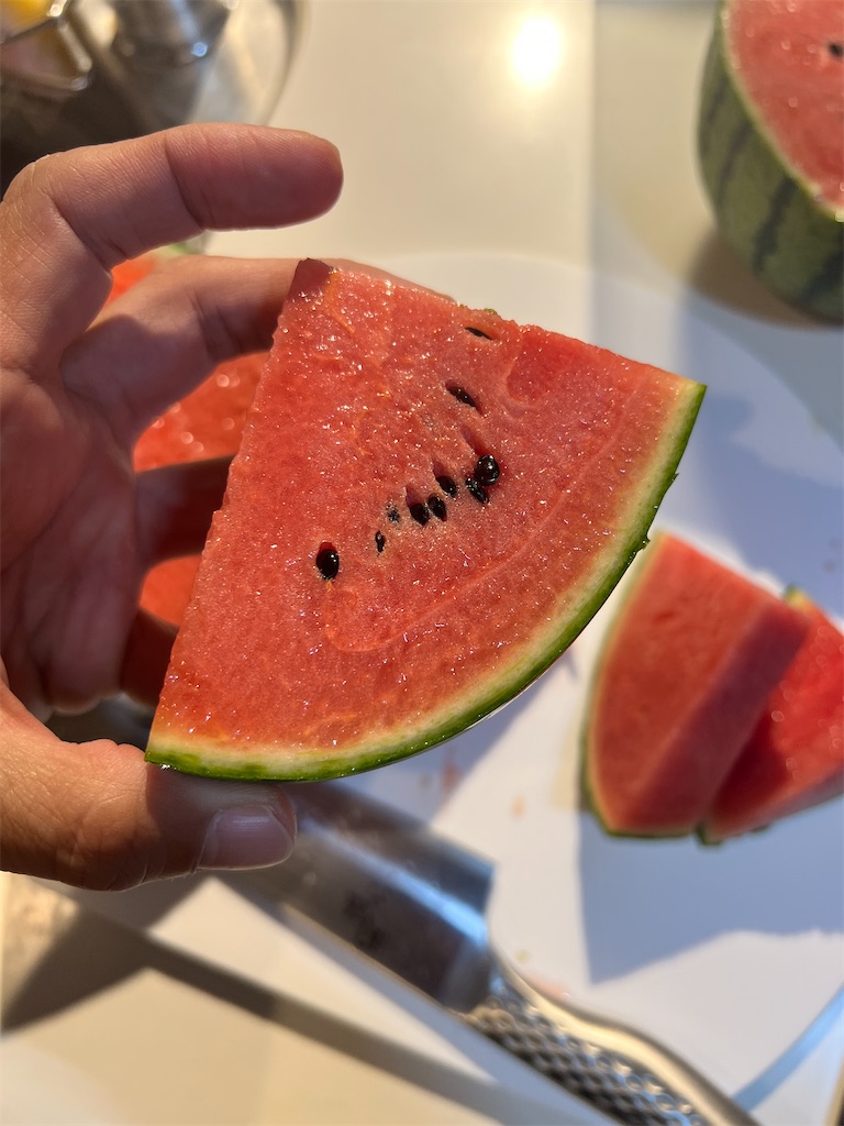 f:id:gohatori:20240814084521j:image f:id:gohatori:20240814084521j:image