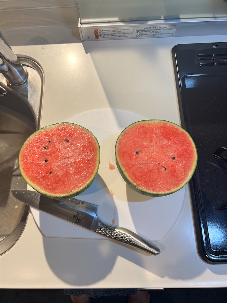 f:id:gohatori:20240814084528j:image f:id:gohatori:20240814084528j:image