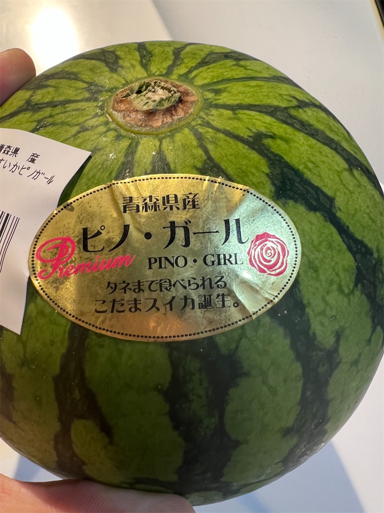 f:id:gohatori:20240814084531j:image f:id:gohatori:20240814084531j:image