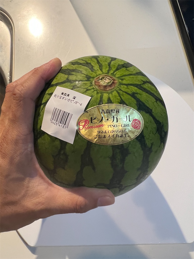 f:id:gohatori:20240814084538j:image f:id:gohatori:20240814084538j:image