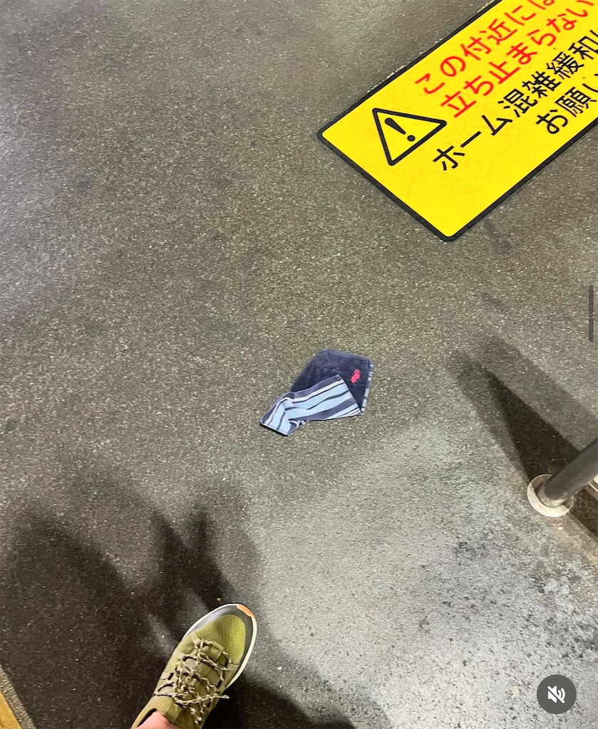 f:id:gohatori:20240906084247j:image f:id:gohatori:20240906084247j:image