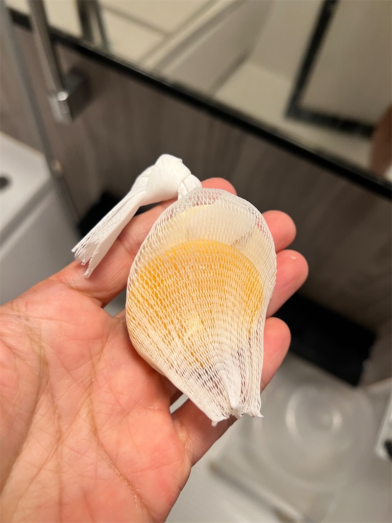 f:id:gohatori:20240923133537j:image