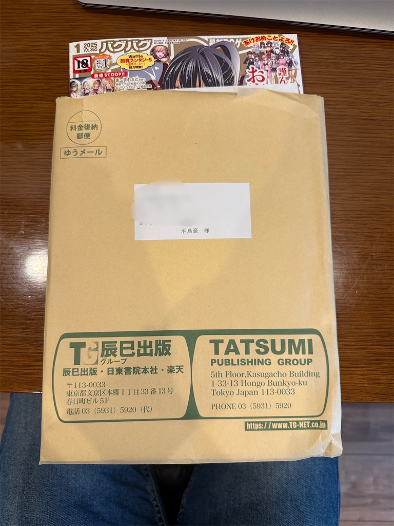 f:id:gohatori:20241208080719j:image