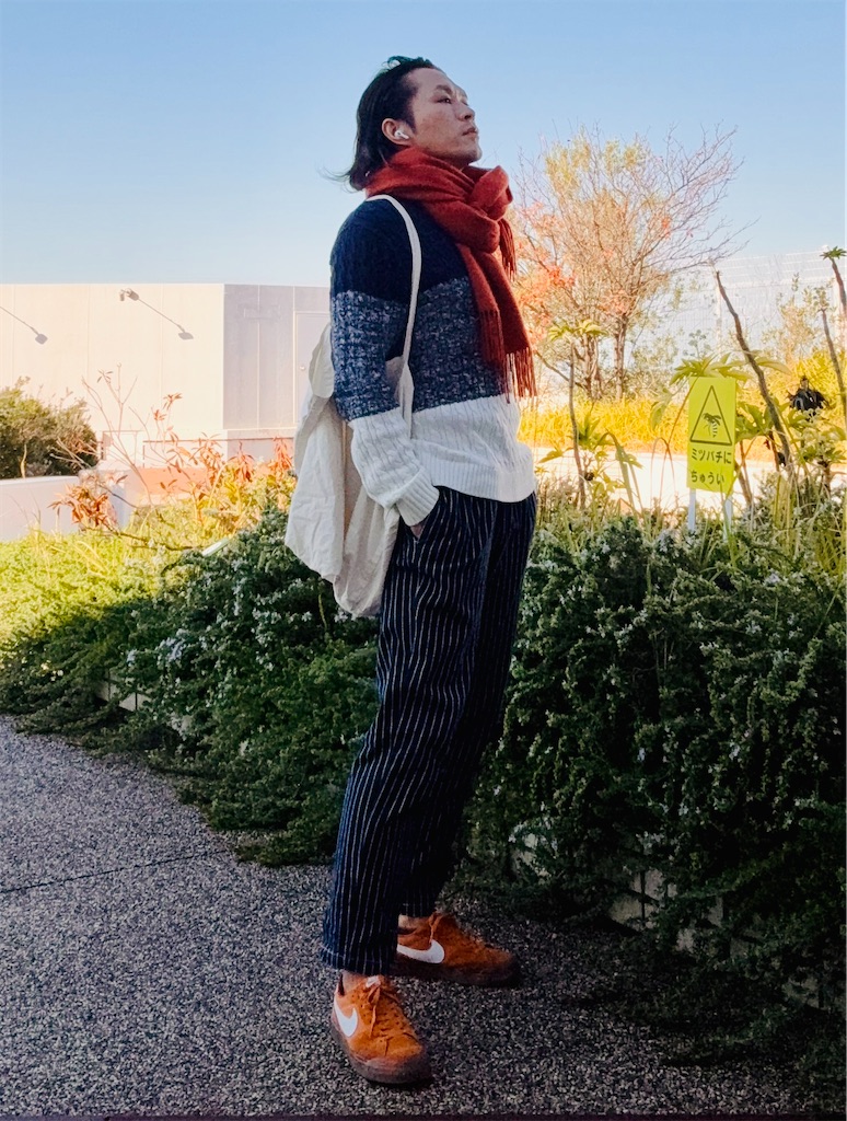 f:id:gohatori:20241211181051j:image