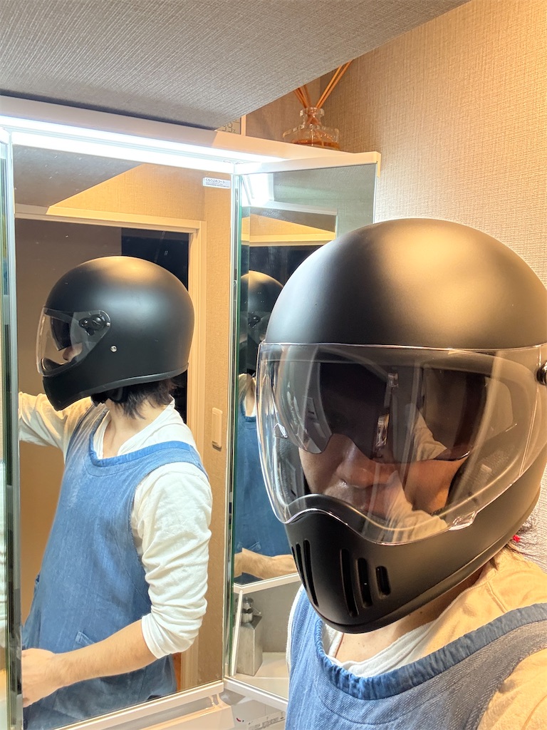 f:id:gohatori:20241222095832j:image