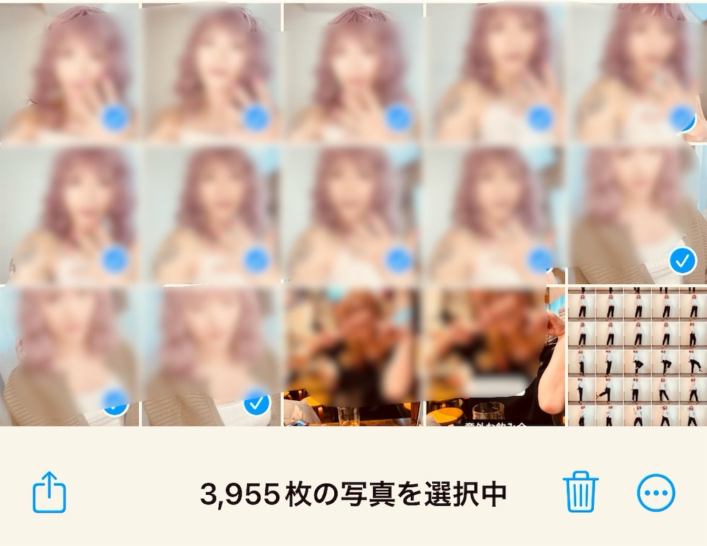 f:id:gohatori:20250105105510j:image
