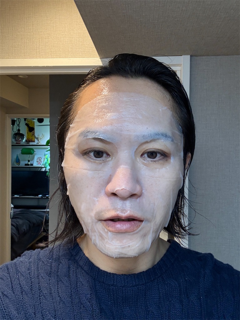 f:id:gohatori:20250106085058j:image
