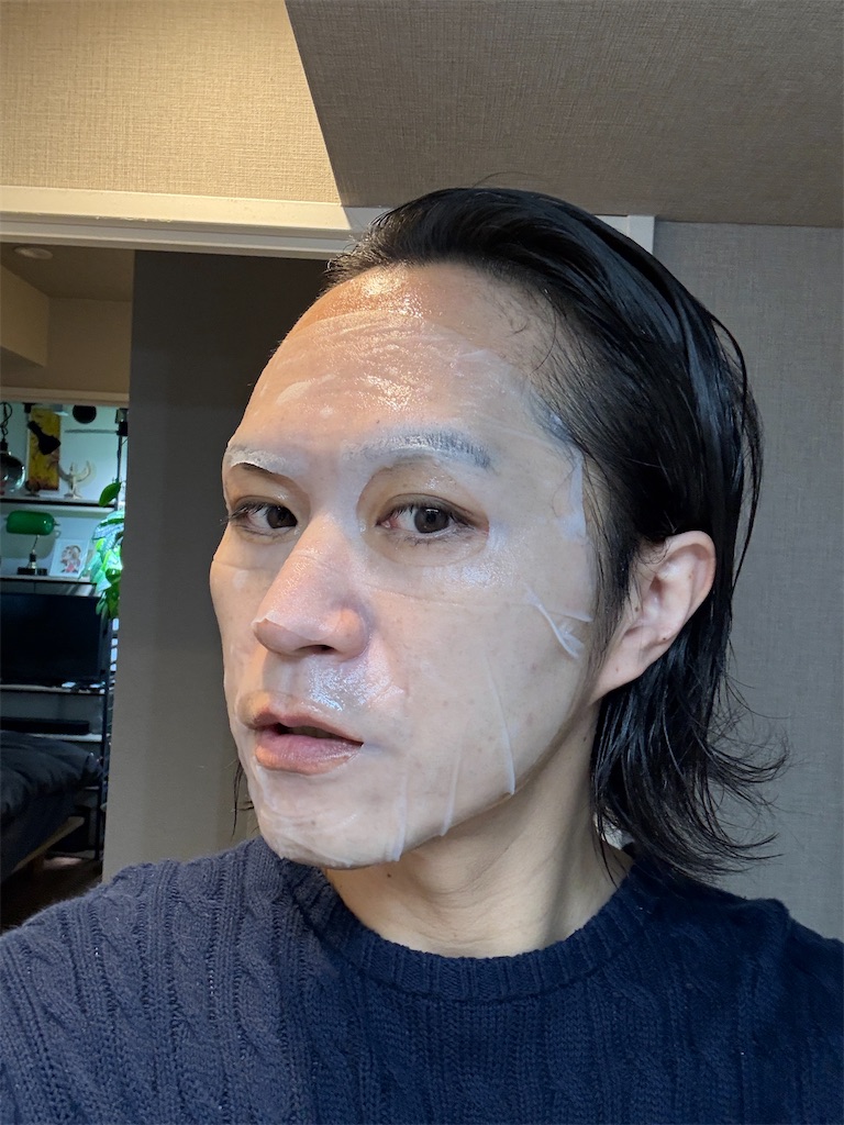 f:id:gohatori:20250106085106j:image