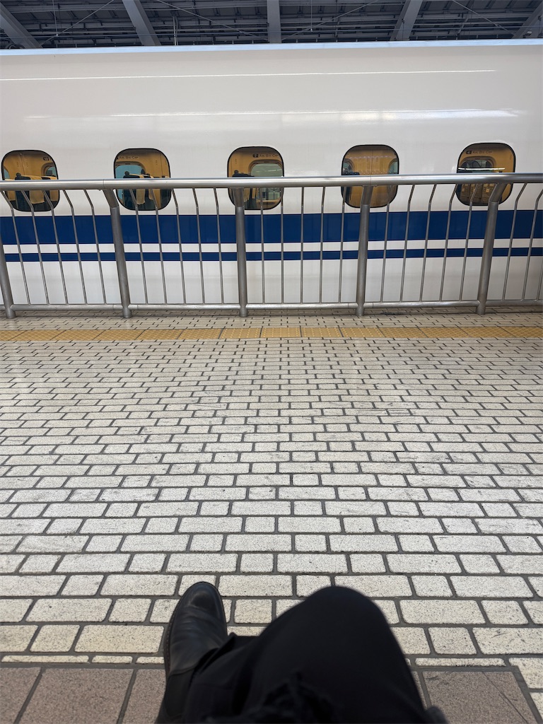 f:id:gohatori:20250202072604j:image