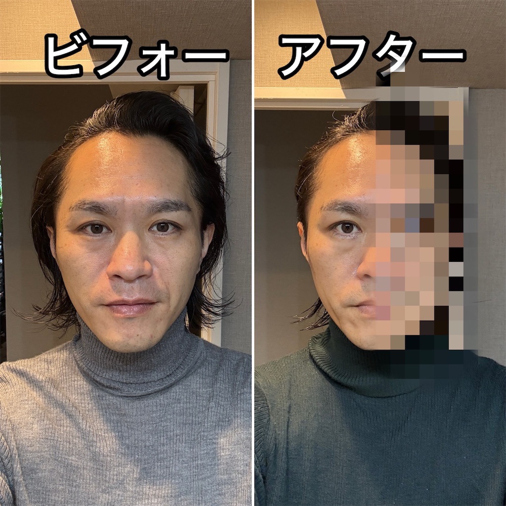 f:id:gohatori:20250308170523j:image