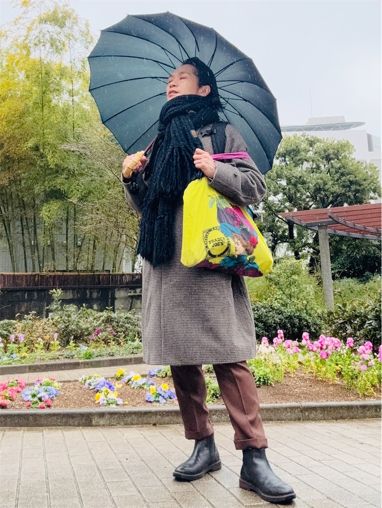 f:id:gohatori:20250309232004j:image