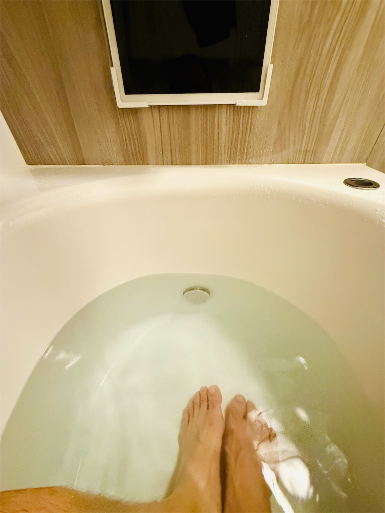 f:id:gohatori:20250327021627j:image