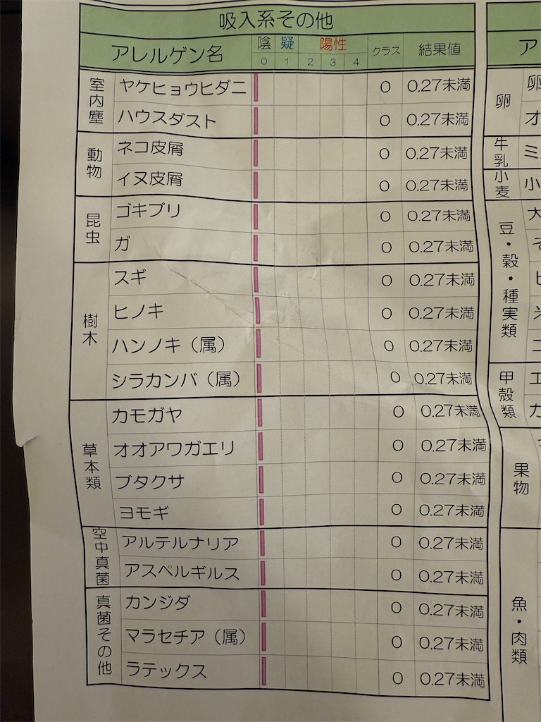 f:id:gohatori:20250409063701j:image