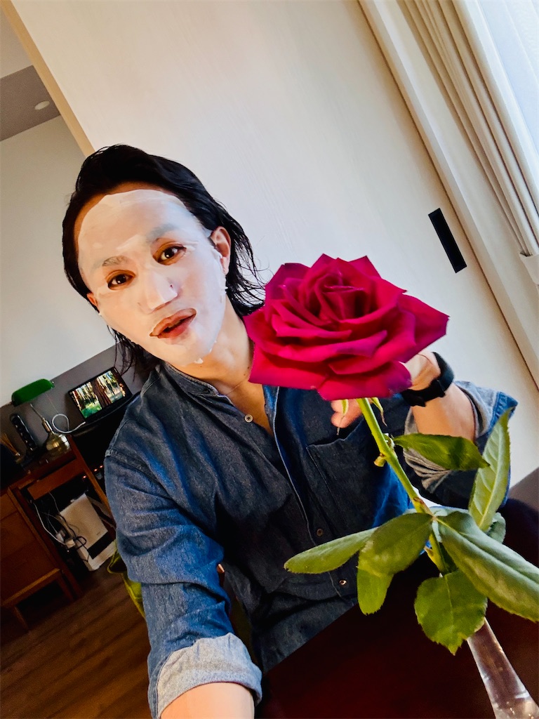 f:id:gohatori:20250503091910j:image