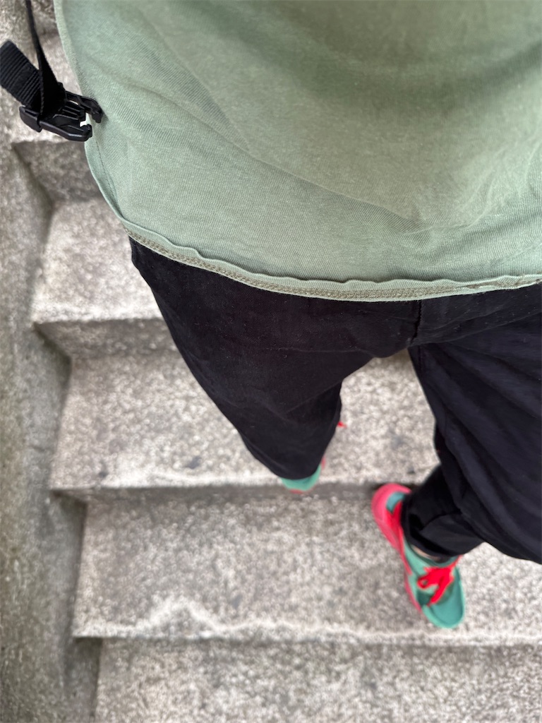 f:id:gohatori:20250528230830j:image