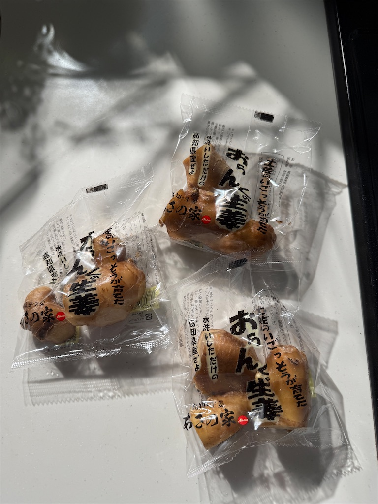 f:id:gohatori:20250606081601j:image