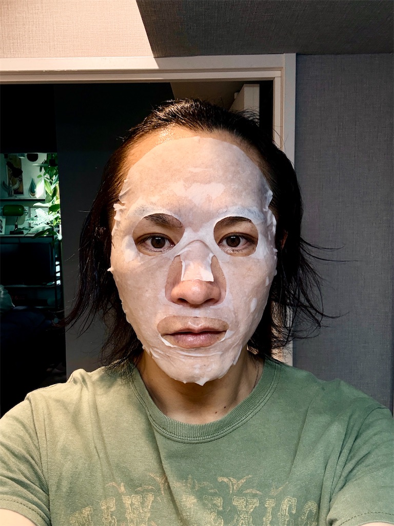 f:id:gohatori:20250617085726j:image